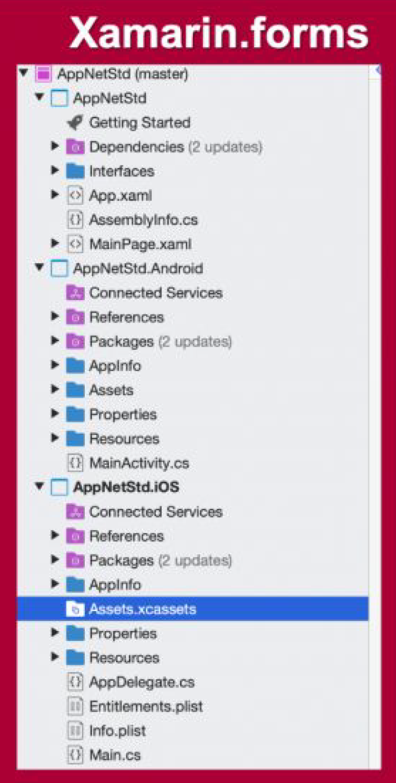 XAMARIN’S FUTURE (PART I) Decimo Technology Solutions